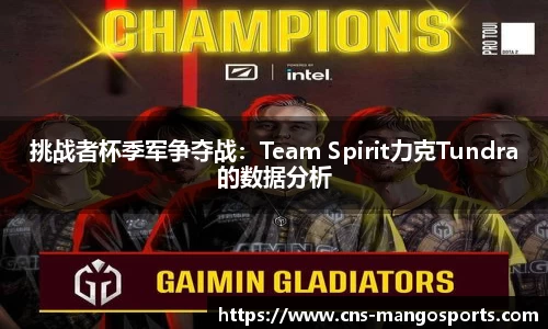 挑战者杯季军争夺战：Team Spirit力克Tundra的数据分析